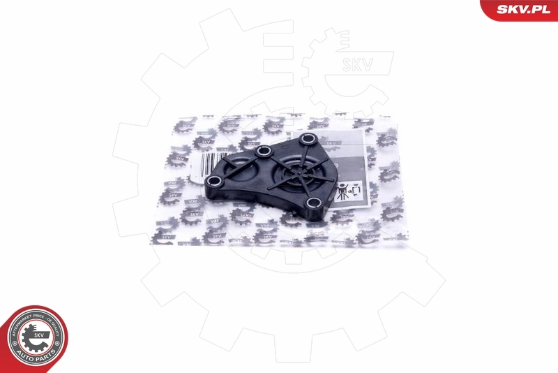 Seal Cap, camshaft